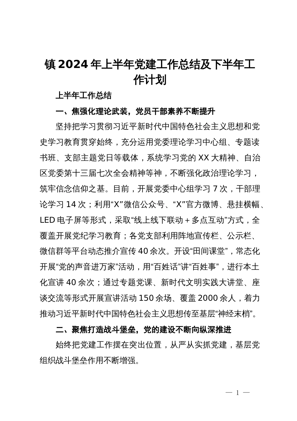 镇2024年上半年党建工作总结及下半年工作计划_第1页