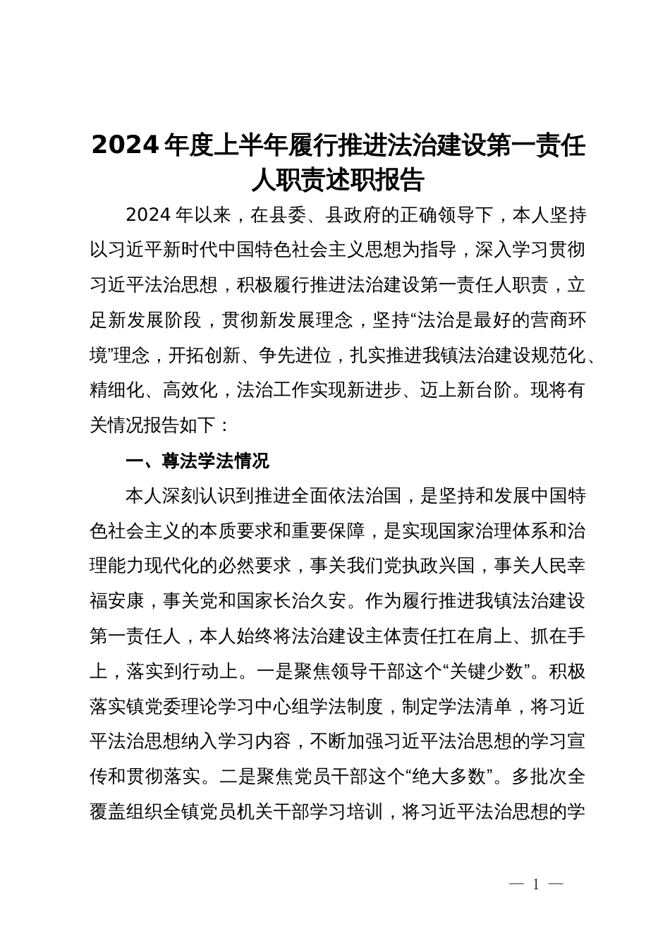 2024年度上半年履行推进法治建设第一责任人职责述职报告_第1页