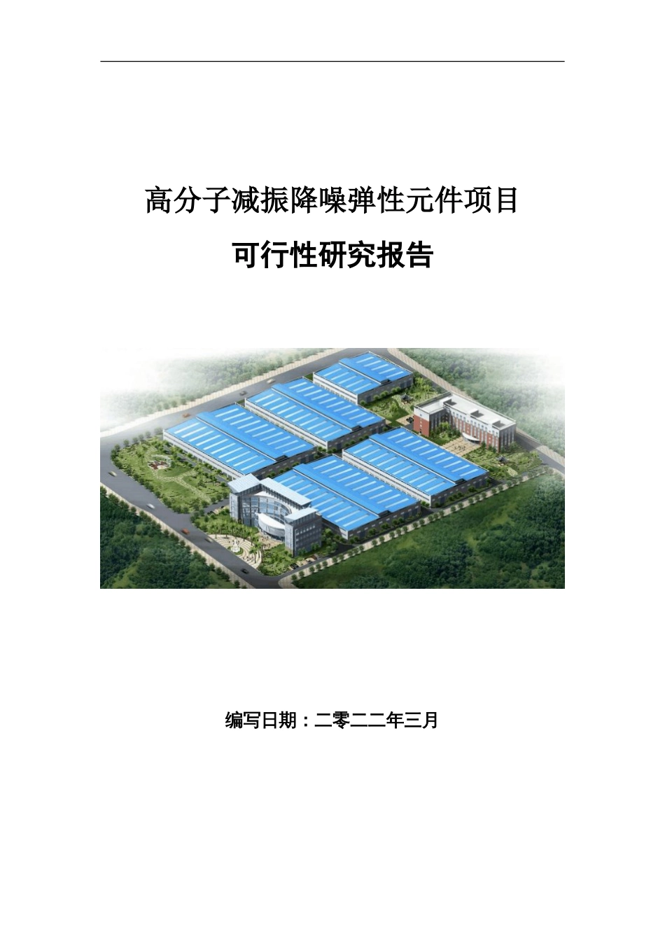 高分子减振降噪弹性元件项目可行性研究报告写作参考_第1页