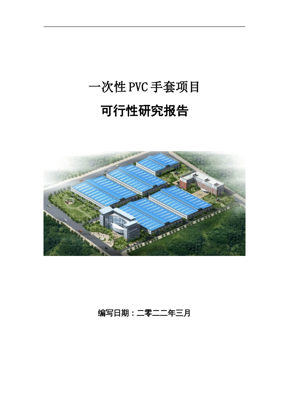 一次性PVC手套项目可行性研究报告写作参考_第1页