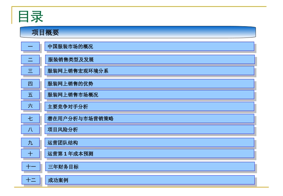 网上销售服装项目计划书2011_第2页