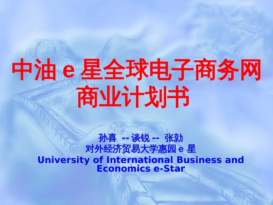 中油e星全球电子商务网商业计划书_第1页