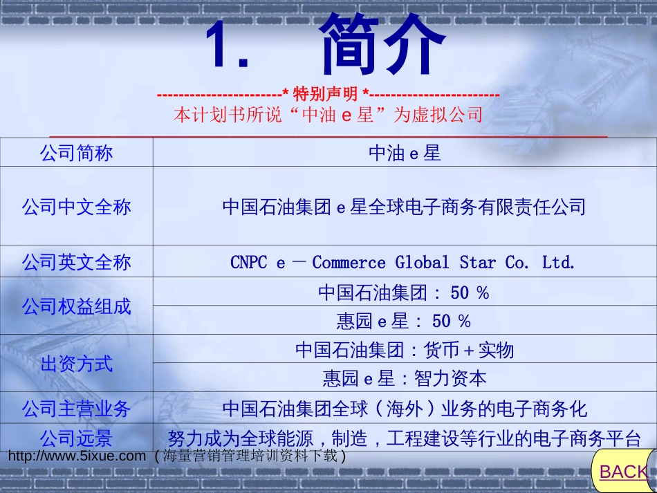 中油e星全球电子商务网商业计划书_第3页