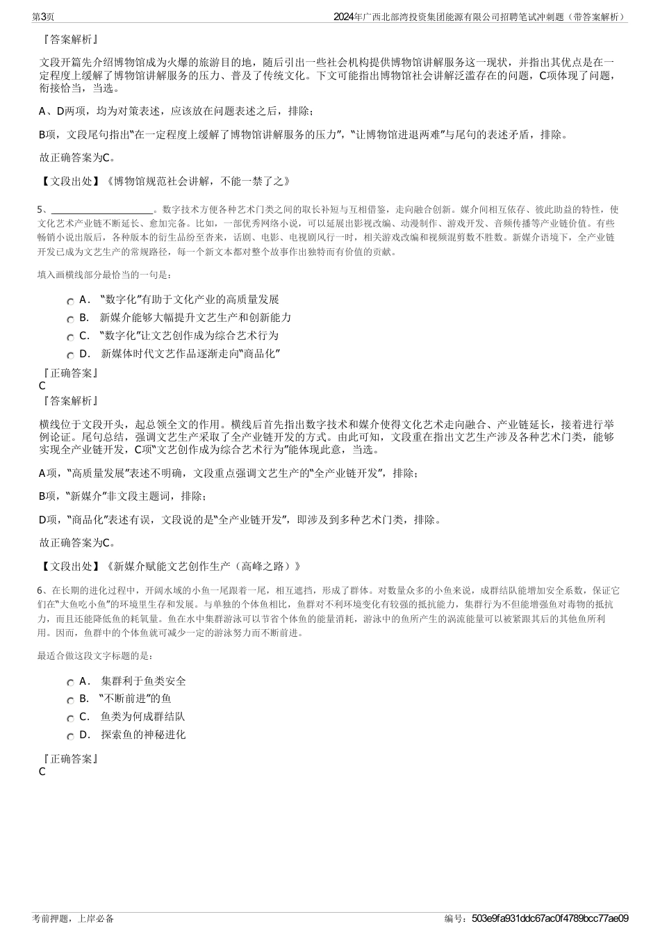 2024年广西北部湾投资集团能源有限公司招聘笔试冲刺题（带答案解析）_第3页