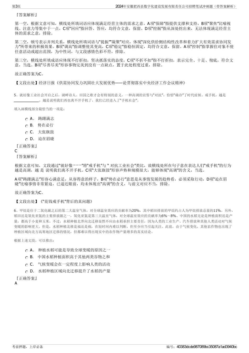 2024年安徽肥西县数字化建设发展有限责任公司招聘笔试冲刺题（带答案解析）_第3页