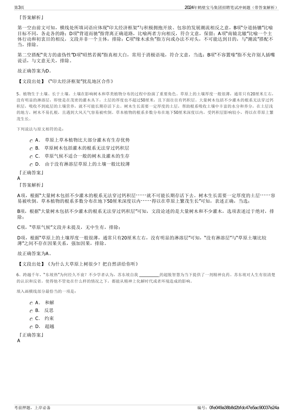 2024年鹤壁宝马集团招聘笔试冲刺题（带答案解析）_第3页