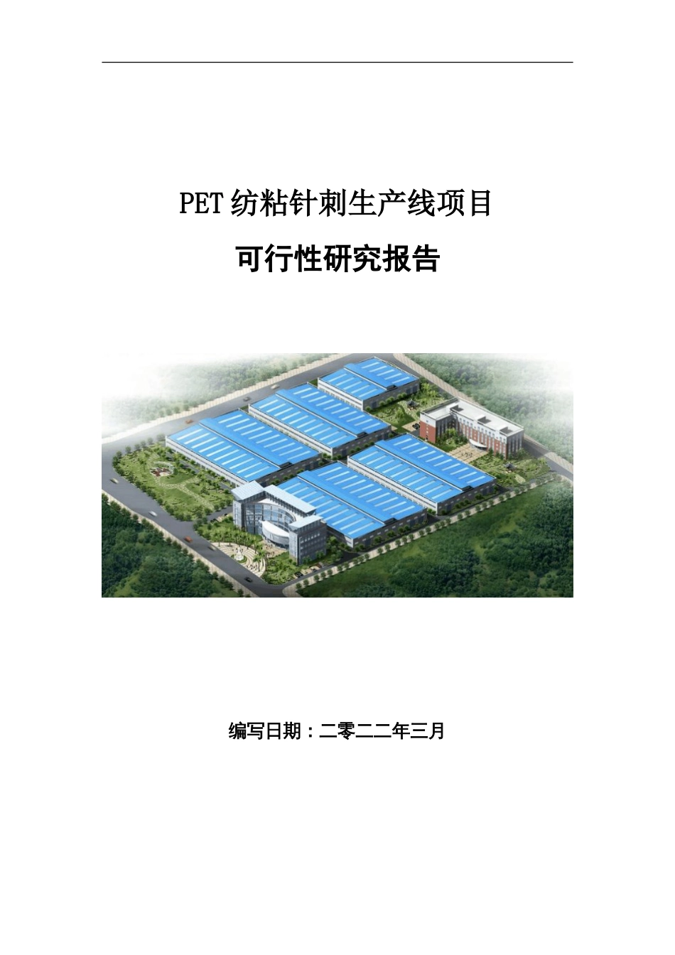 PET纺粘针刺生产线项目可行性研究报告写作参考_第1页