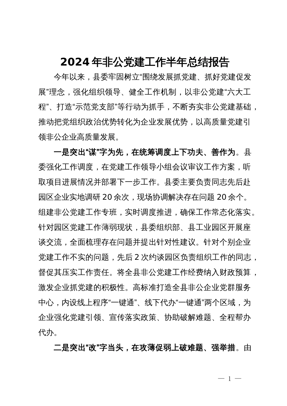 2024年非公党建工作半年总结报告_第1页