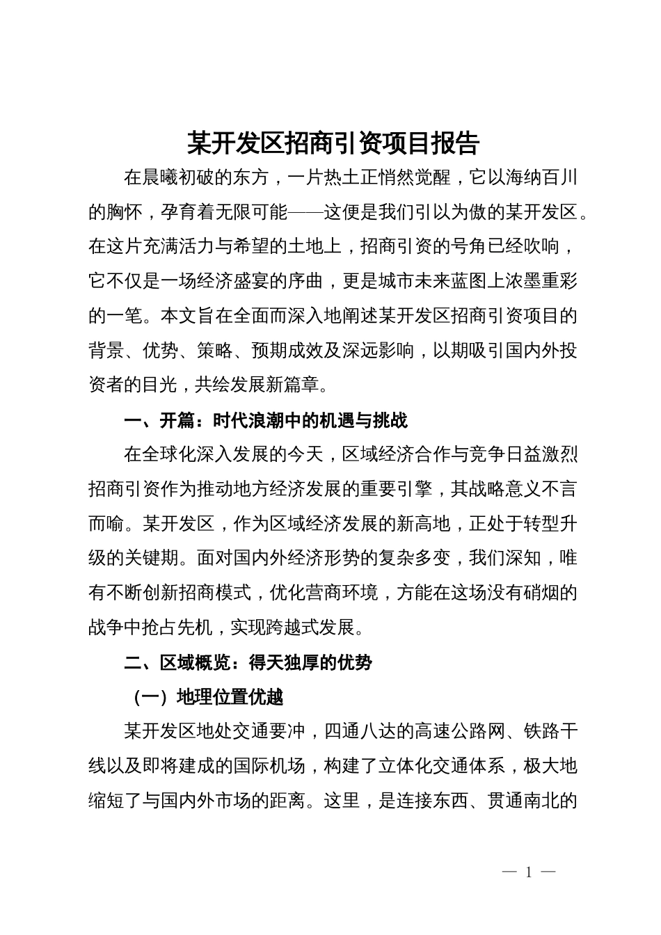 某开发区招商引资项目报告_第1页