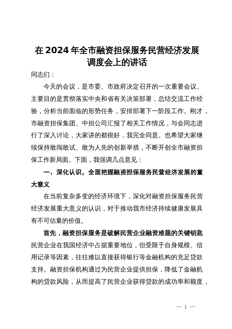 在2024年全市融资担保服务民营经济发展调度会上的讲话_第1页