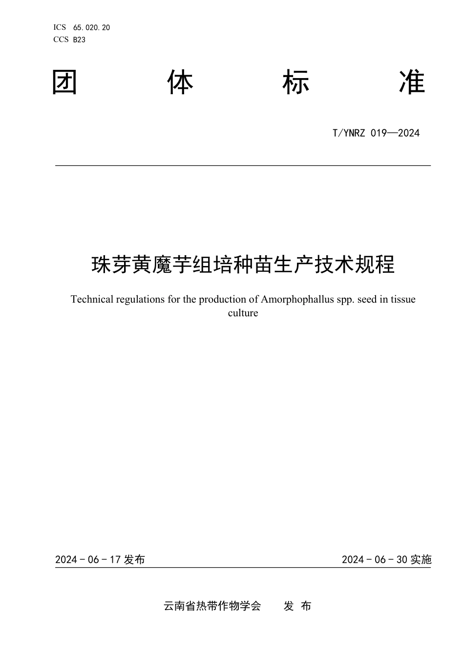 T∕YNRZ 019-2024 珠芽黄魔芋组培种苗生产技术规程_第1页