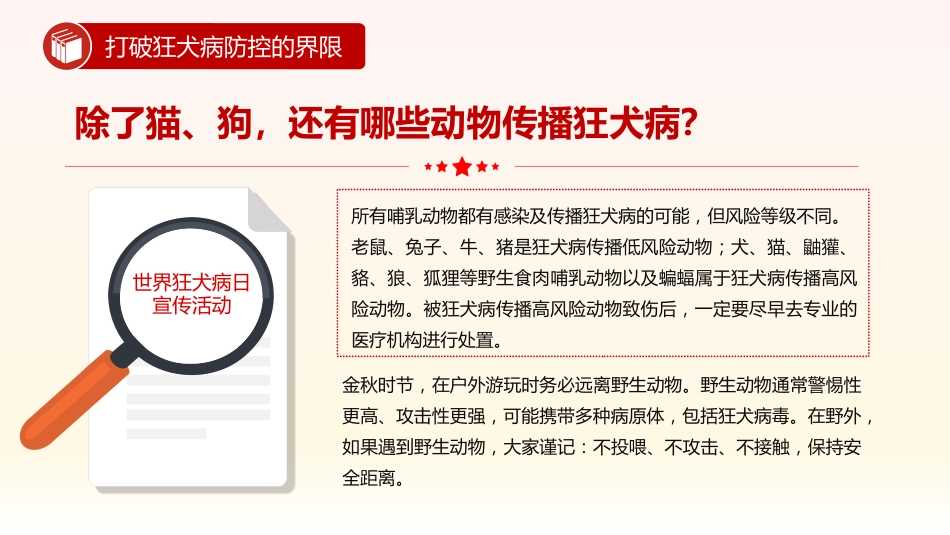 2024年世界狂犬病日宣传活动进社区PPT学习课件_第3页