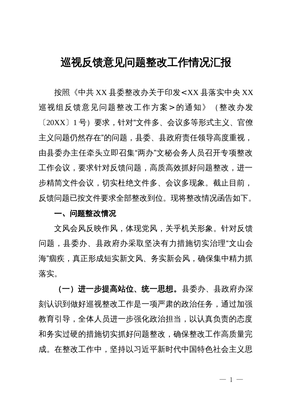 巡视反馈意见问题整改工作情况汇报_第1页