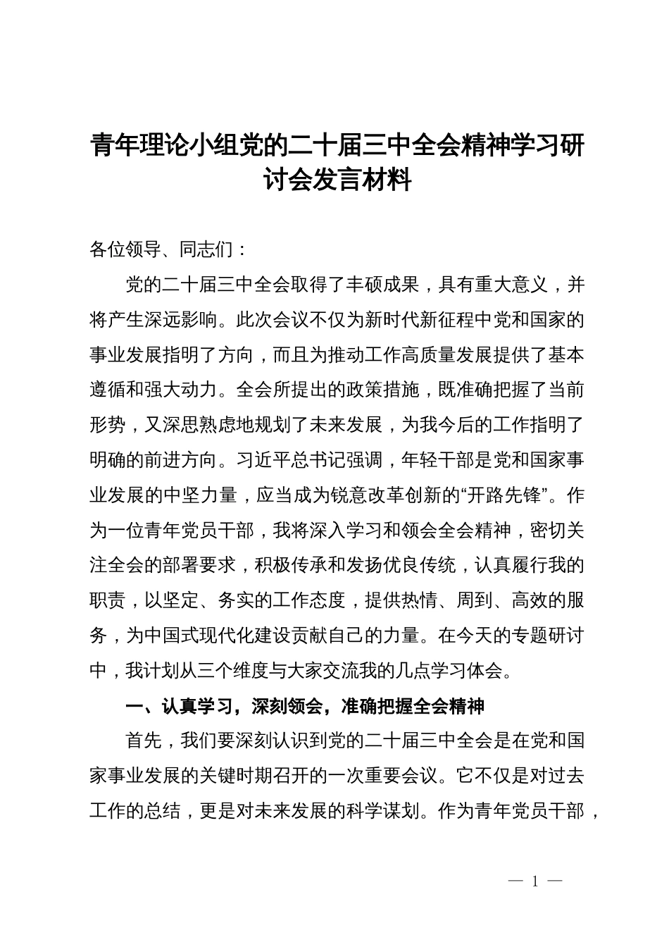 青年理论小组党的二十届三中全会精神学习研讨会发言材料_第1页