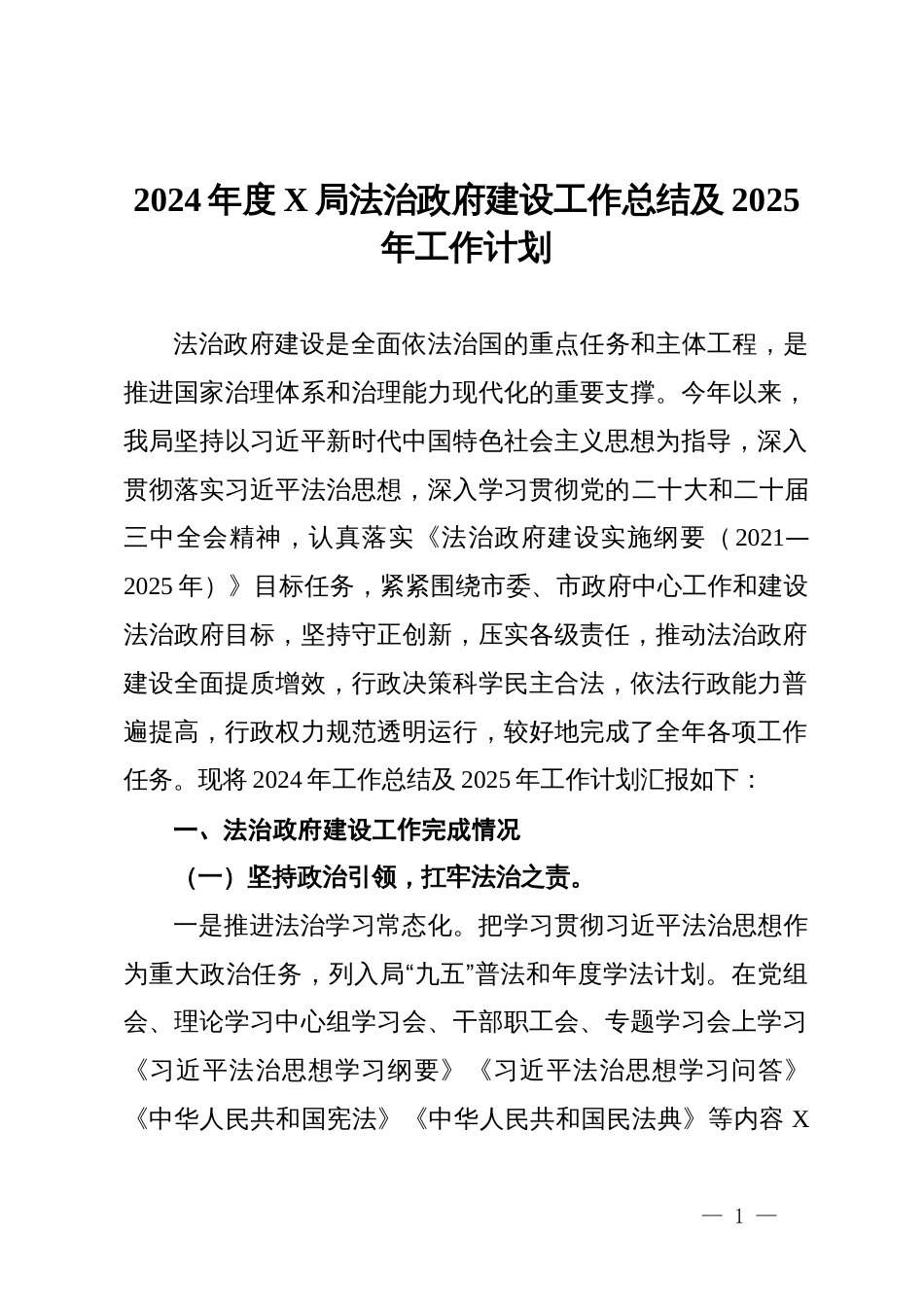 2024年度局法治政府建设工作总结及2025年工作计划_第1页