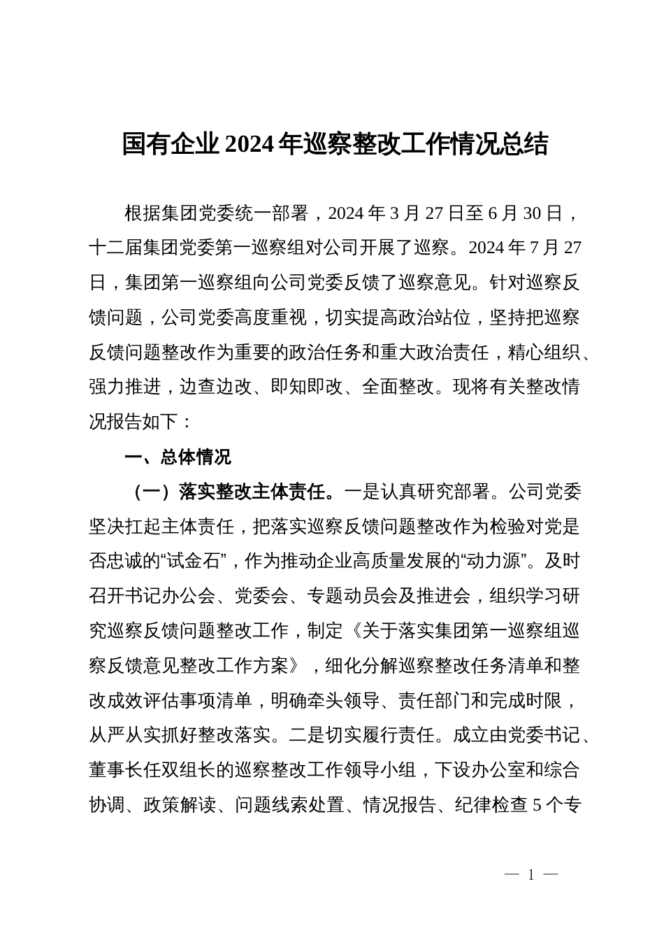 国有企业2024年巡察整改工作情况总结_第1页