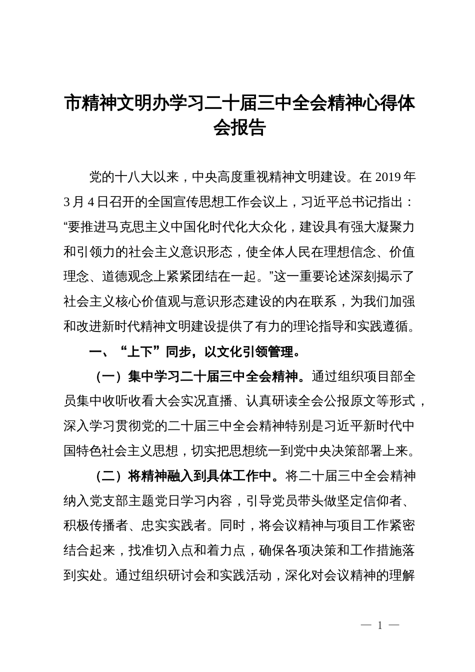 市精神文明办学习二十届三中全会精神心得体会报告_第1页