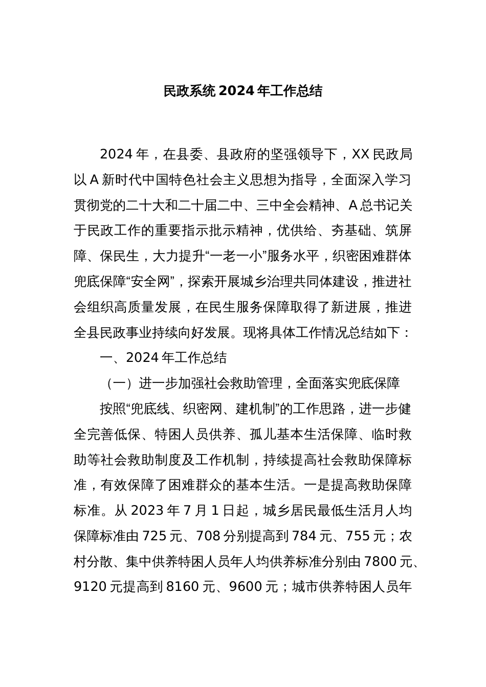 民政系统2024年工作总结_第1页