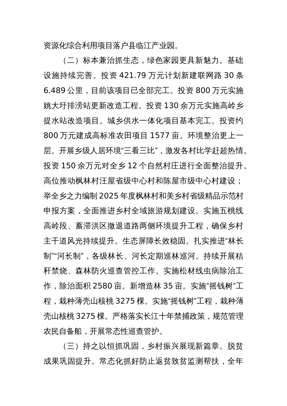 乡镇2024年工作总结和2025年工作谋划_第2页