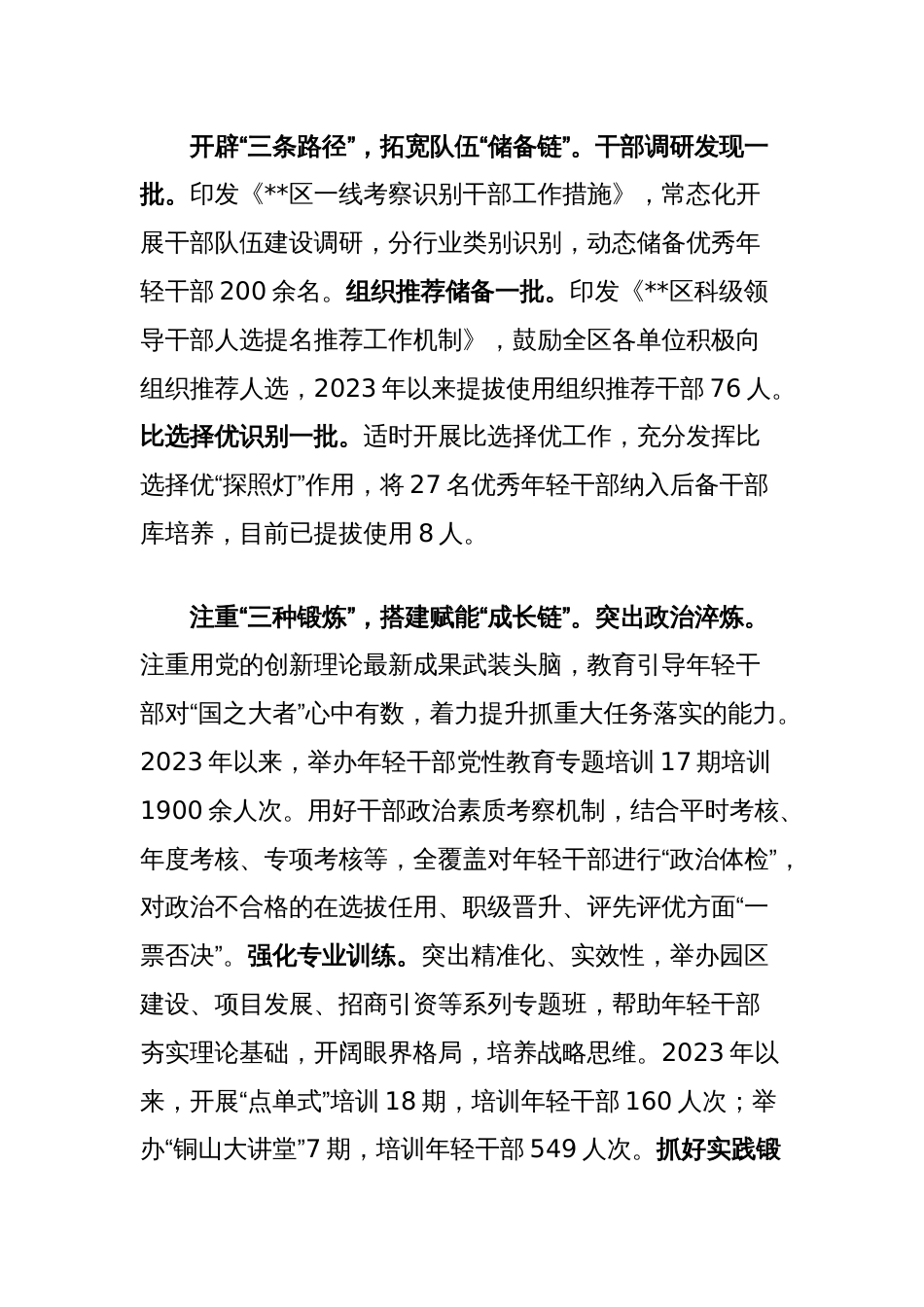 在2024年全市年轻干部队伍建设重点工作推进会上的汇报发言_第2页