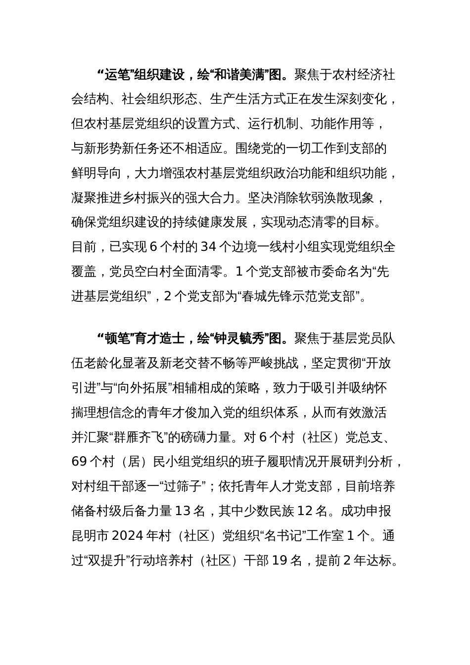 在2024年全市乡村振兴重点工作推进会上的汇报发言_第2页