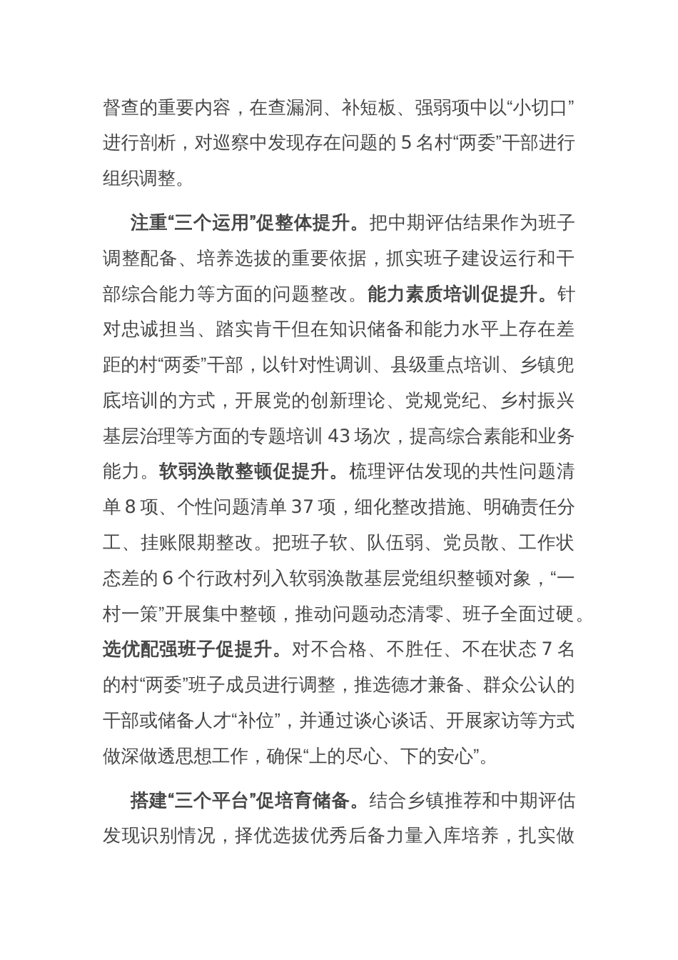 在2024年全省村党组织书记后备力量培育调研座谈会上的汇报发言_第2页