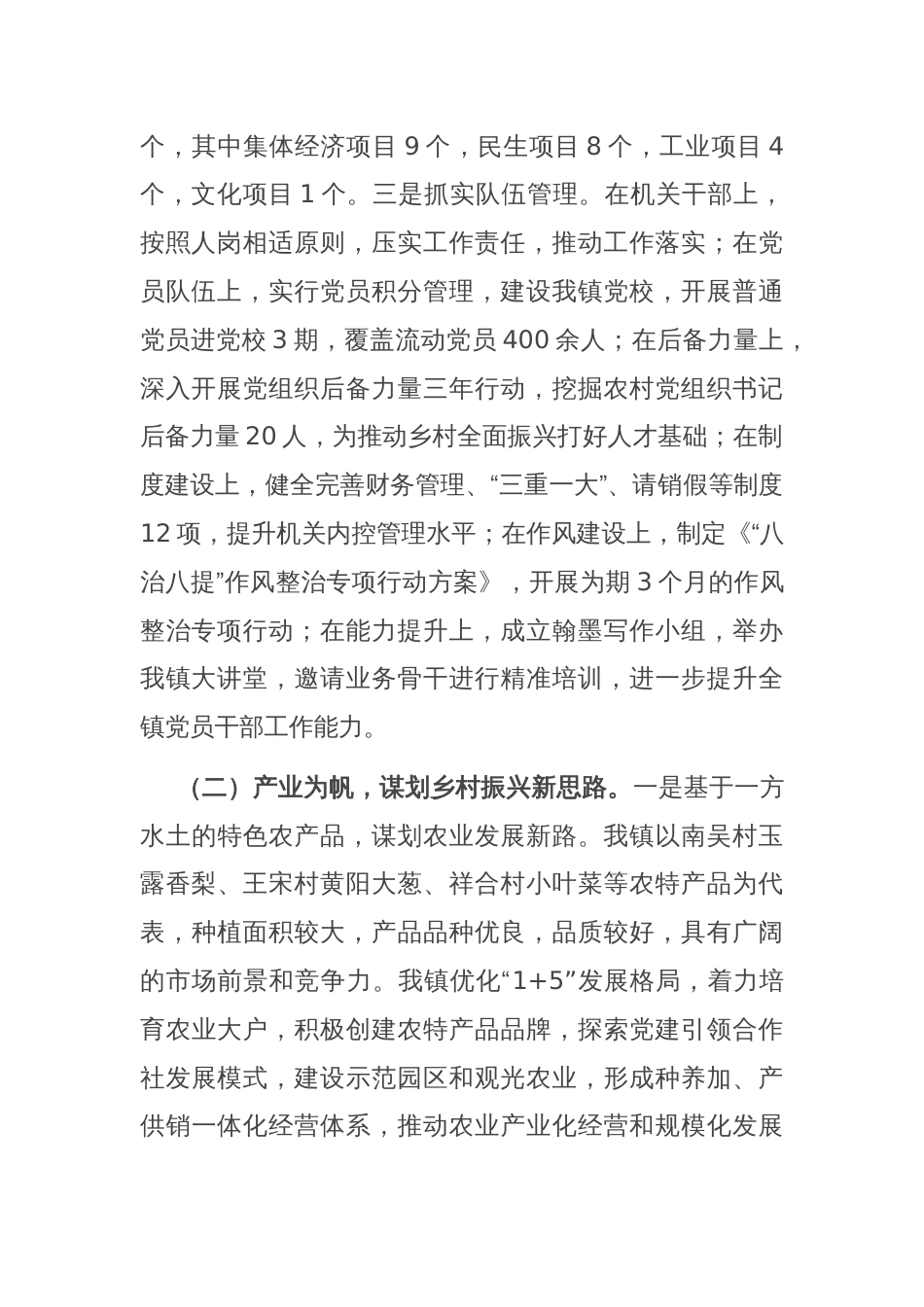 乡镇2024年度推动乡村全面振兴工作总结_第2页