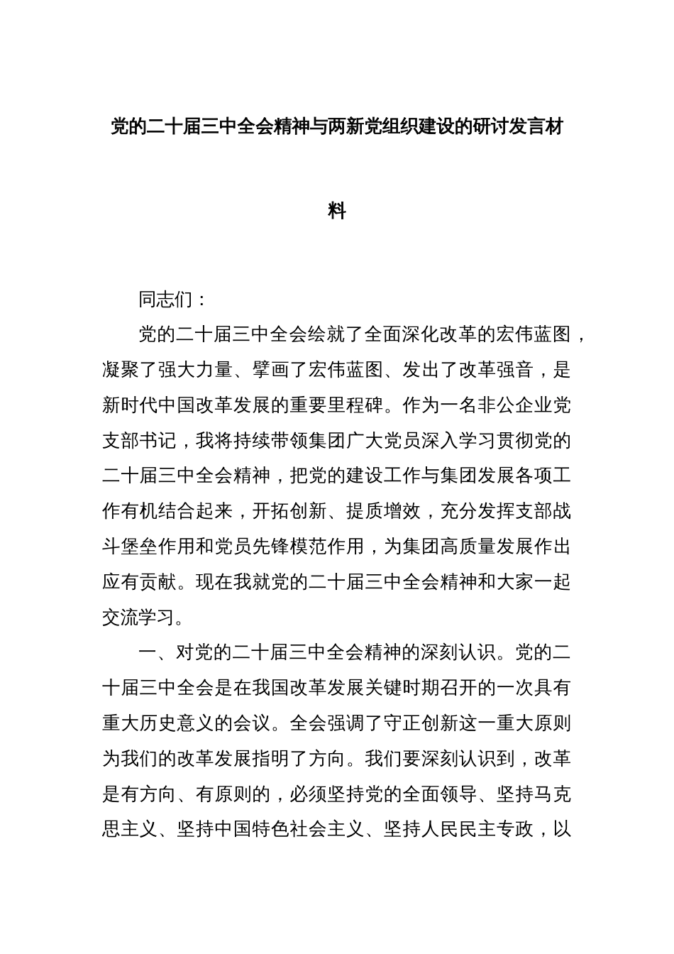 党的二十届三中全会精神与两新党组织建设的研讨发言材料_第1页