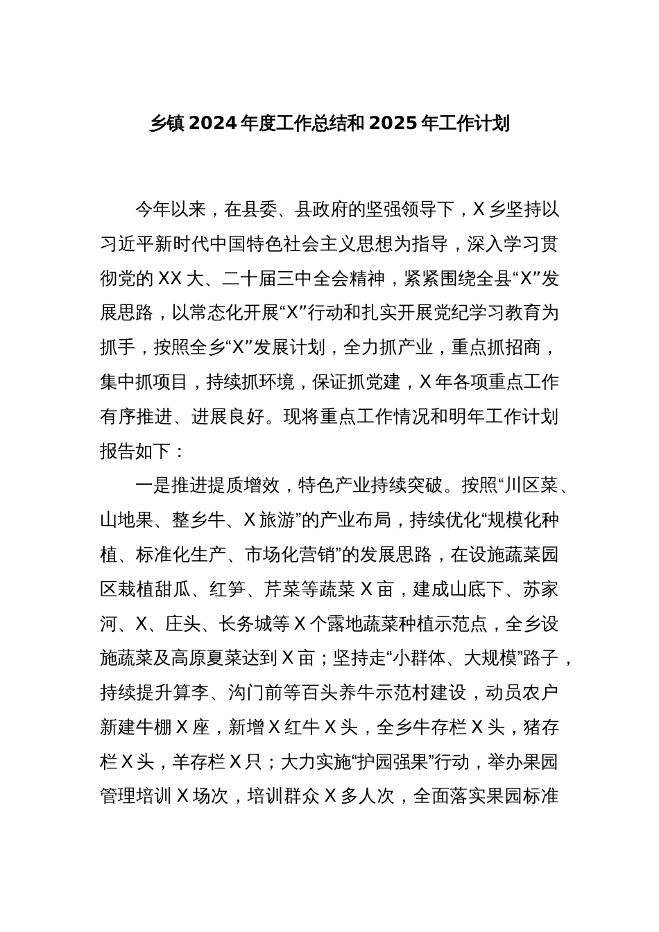 乡镇2024年度工作总结和2025年工作计划_第1页