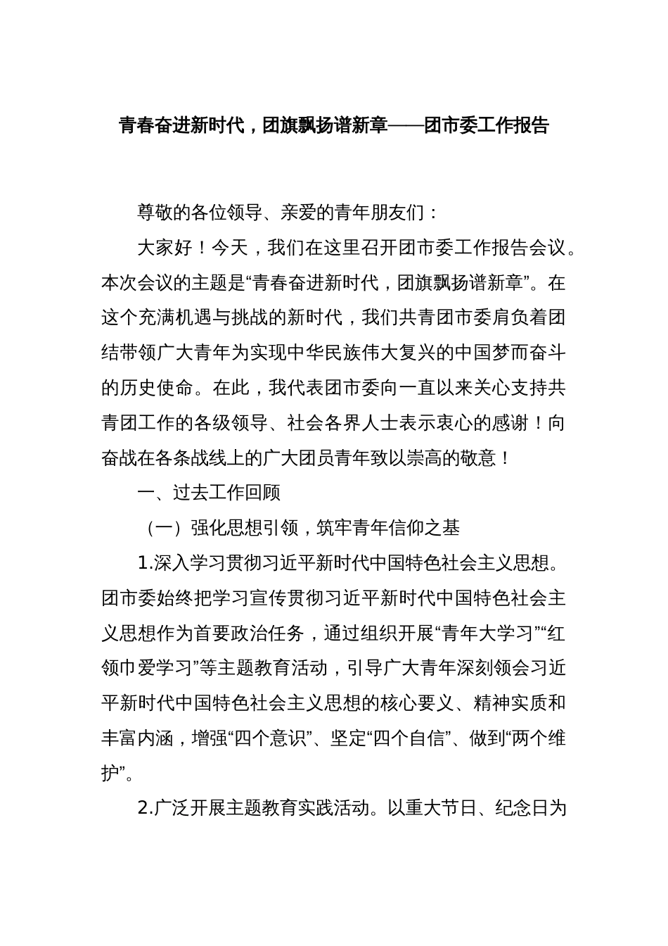 青春奋进新时代，团旗飘扬谱新章——团市委工作报告_第1页