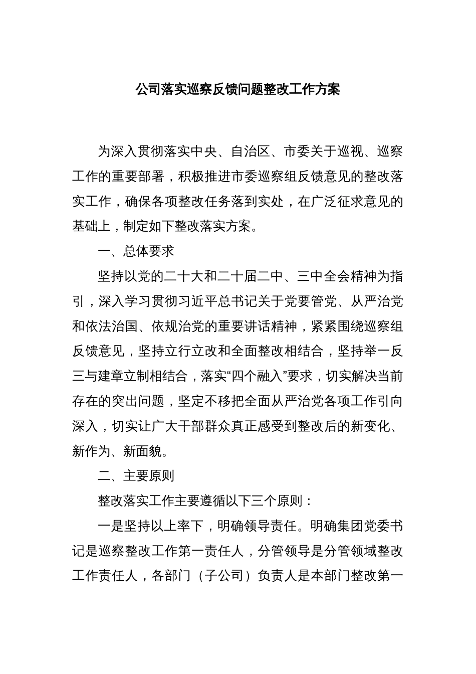 公司落实巡察反馈问题整改工作方案_第1页