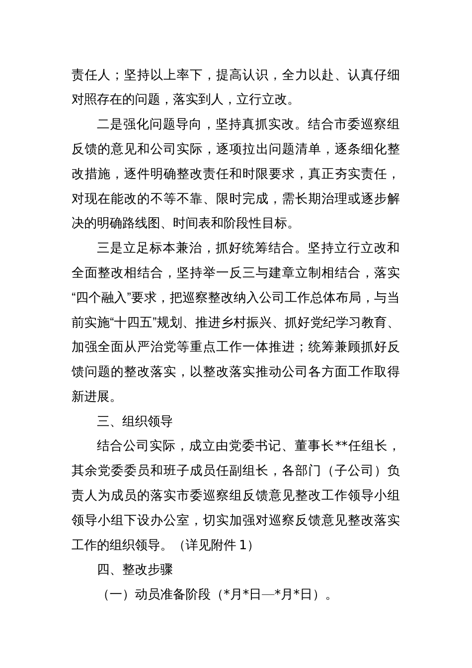 公司落实巡察反馈问题整改工作方案_第2页