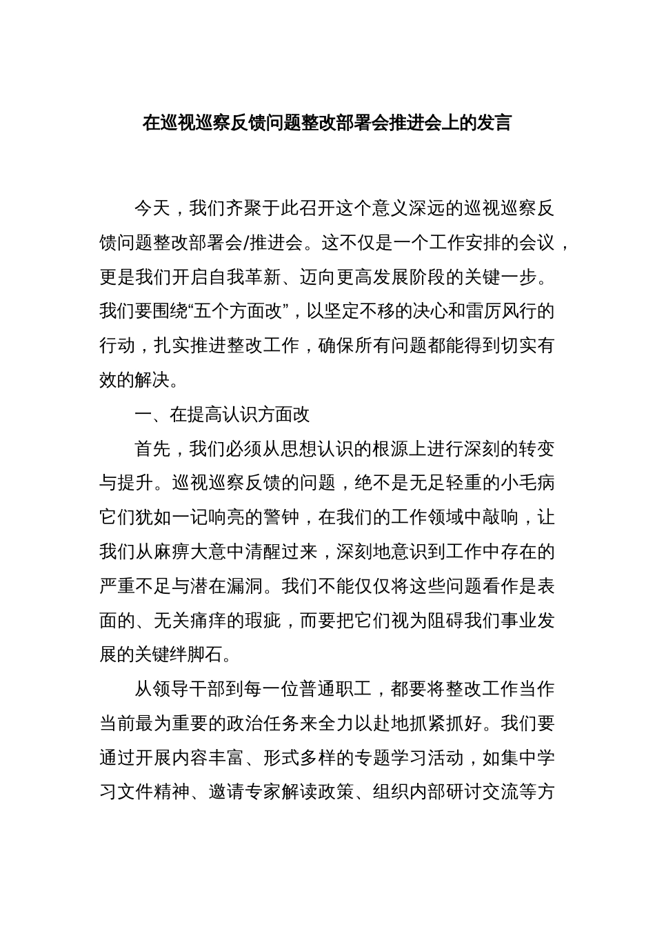 在巡视巡察反馈问题整改部署会推进会上的发言_第1页