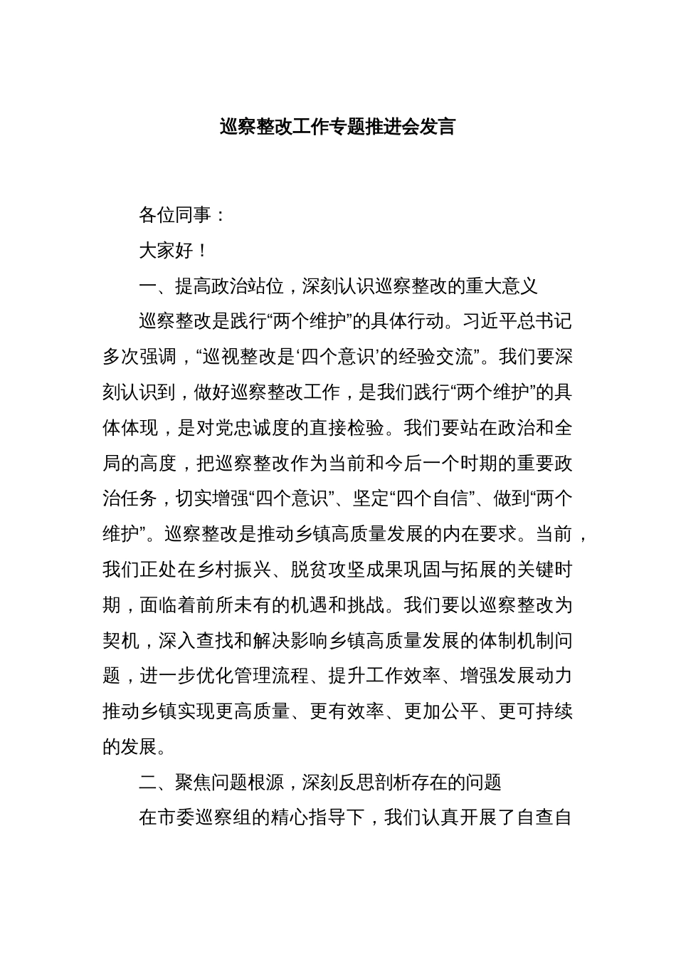 巡察整改工作专题推进会发言_第1页