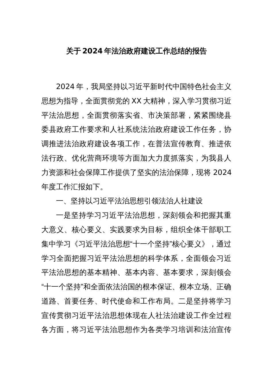 关于2024年法治政府建设工作总结的报告_第1页