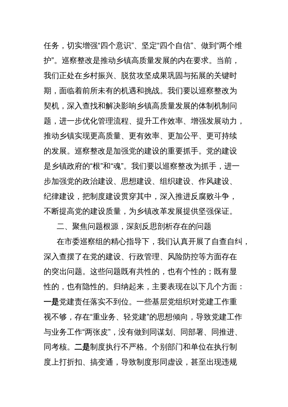 乡镇巡察整改工作专题推进会发言_第2页