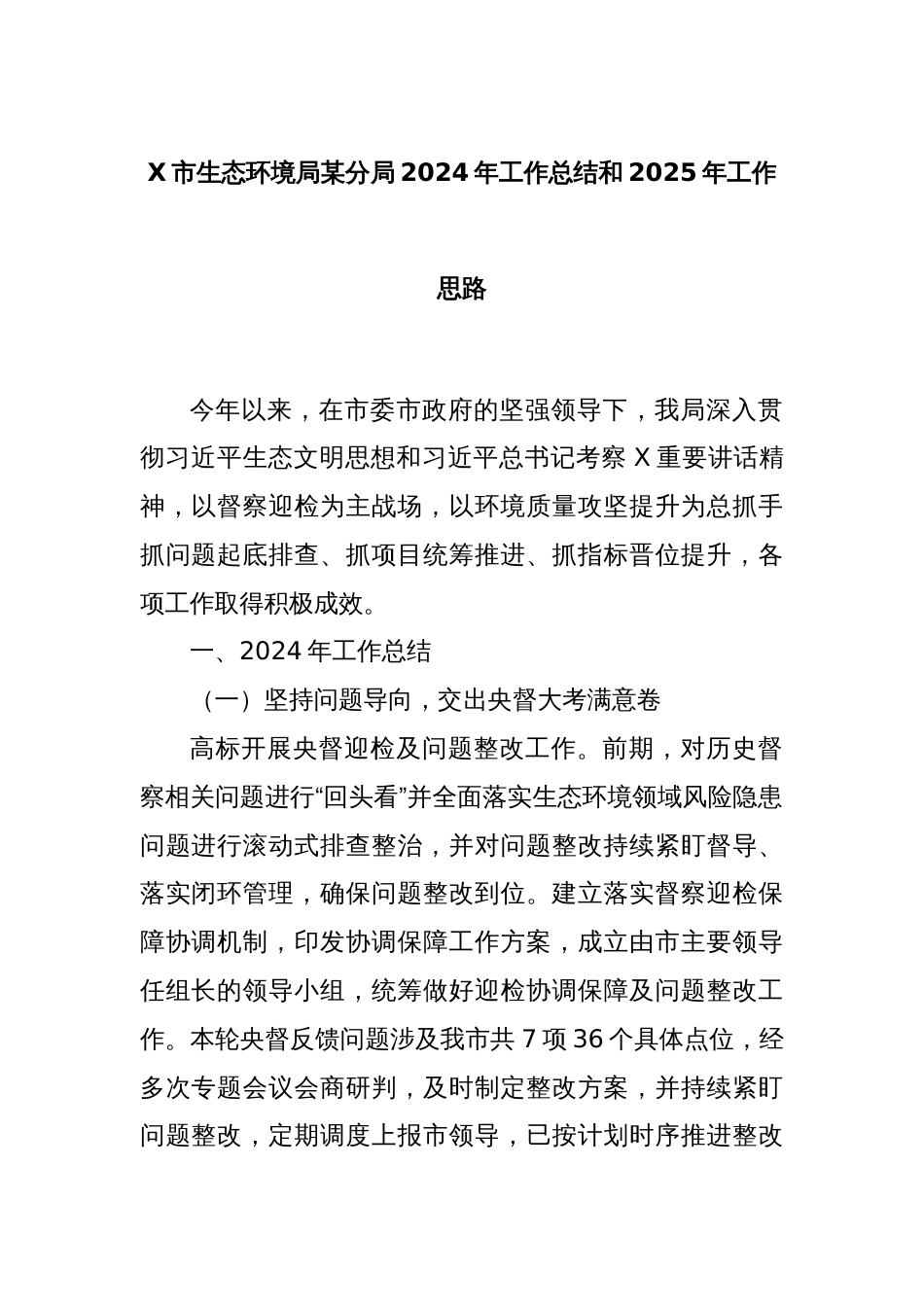 X市生态环境局某分局2024年工作总结和2025年工作思路_第1页