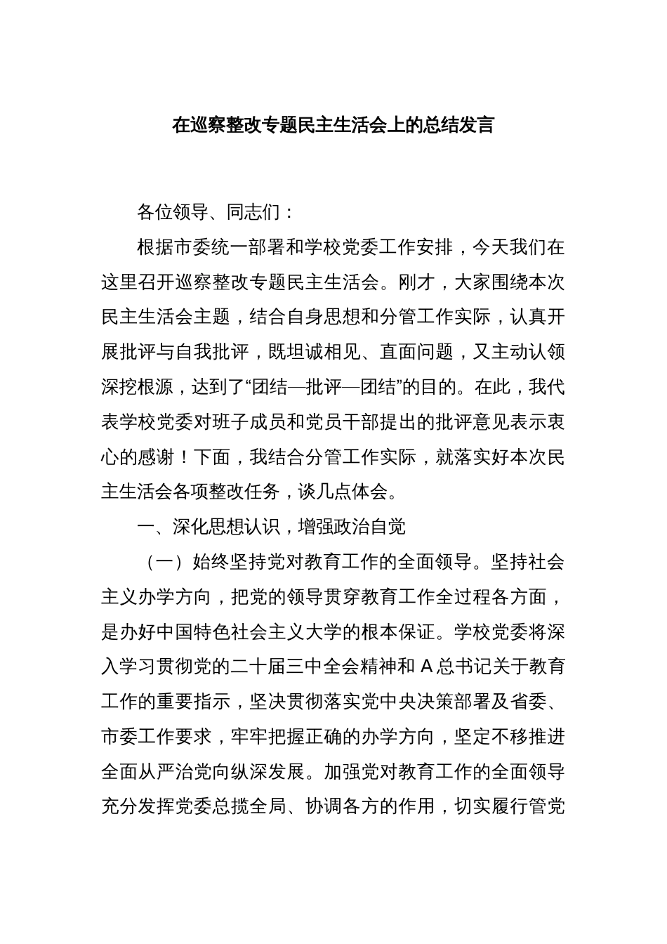 在巡察整改专题民主生活会上的总结发言_第1页