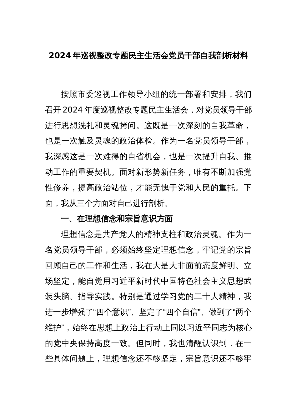 2024年巡视整改专题民主生活会党员干部自我剖析材料_第1页