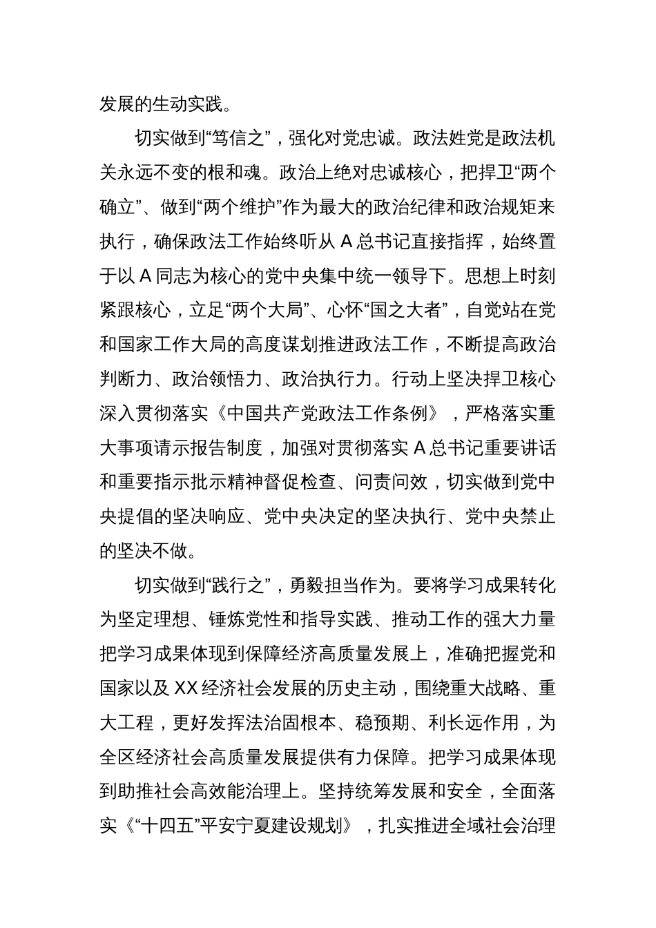 常委政法委书记中心组研讨发言：在奋力推动政法工作现代化上取得新成效_第2页