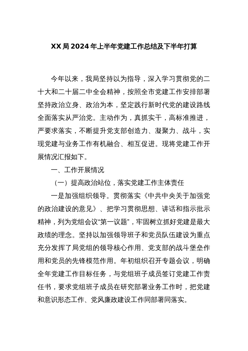 XX局2024年上半年党建工作总结及下半年打算_第1页