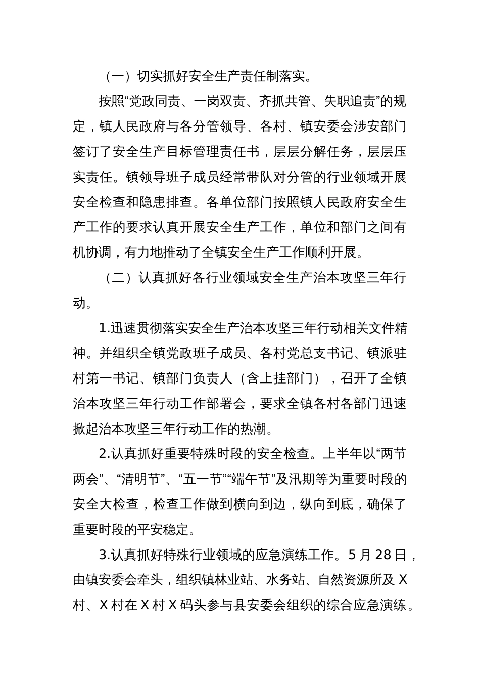 X镇2024年安全生产及应急管理半年工作总结_第2页