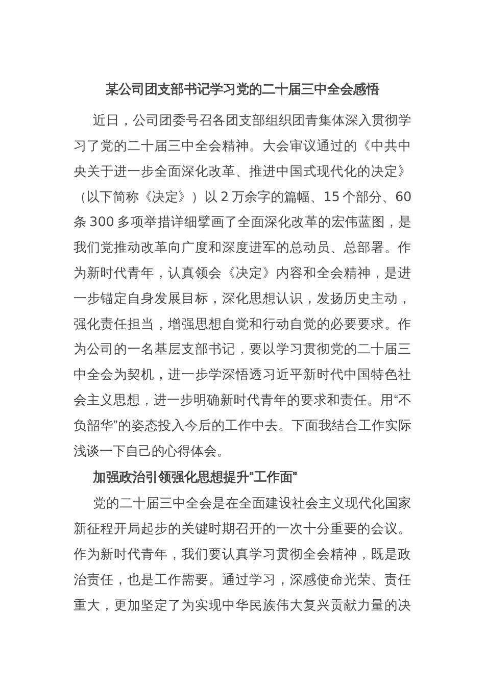 某公司团支部书记学习党的二十届三中全会感悟_第1页