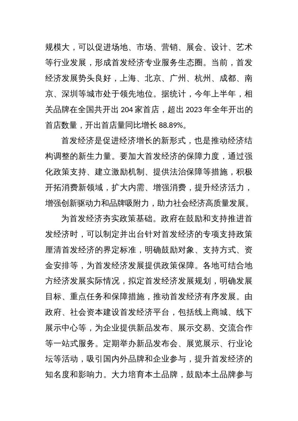 促进首发经济研讨发言稿_第2页