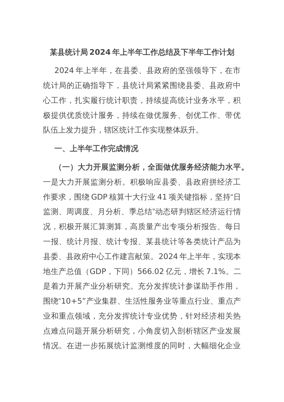 某县统计局2024年上半年工作总结及下半年工作计划_第1页