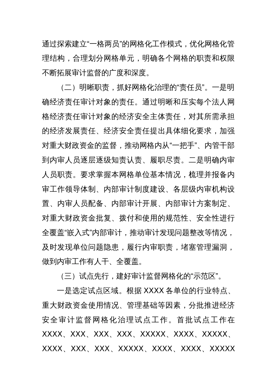 XX经济安全审计监督网格化治理机制试点工作的实施方案_第2页