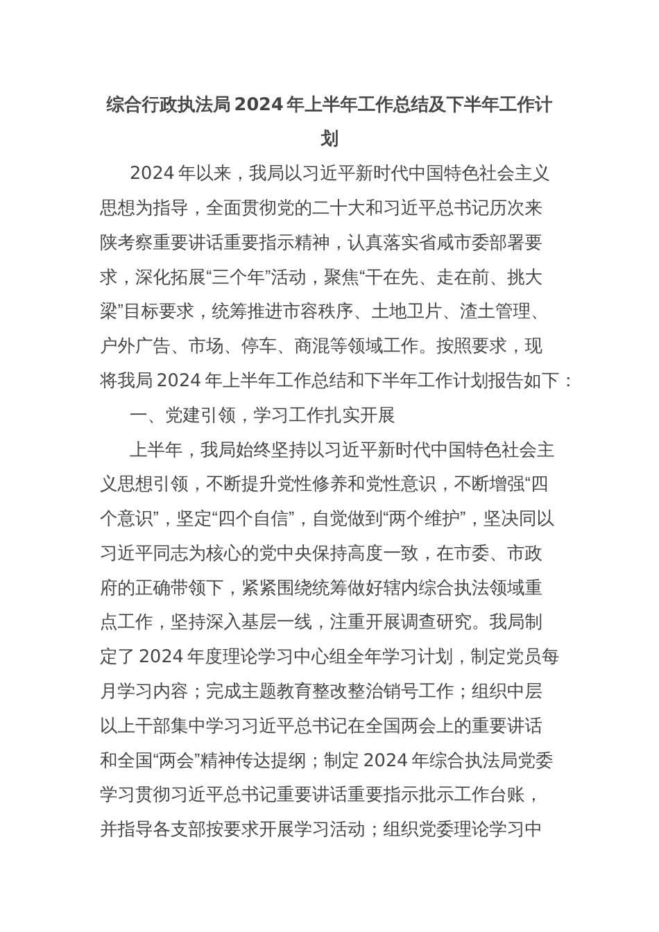 综合行政执法局2024年上半年工作总结及下半年工作计划_第1页