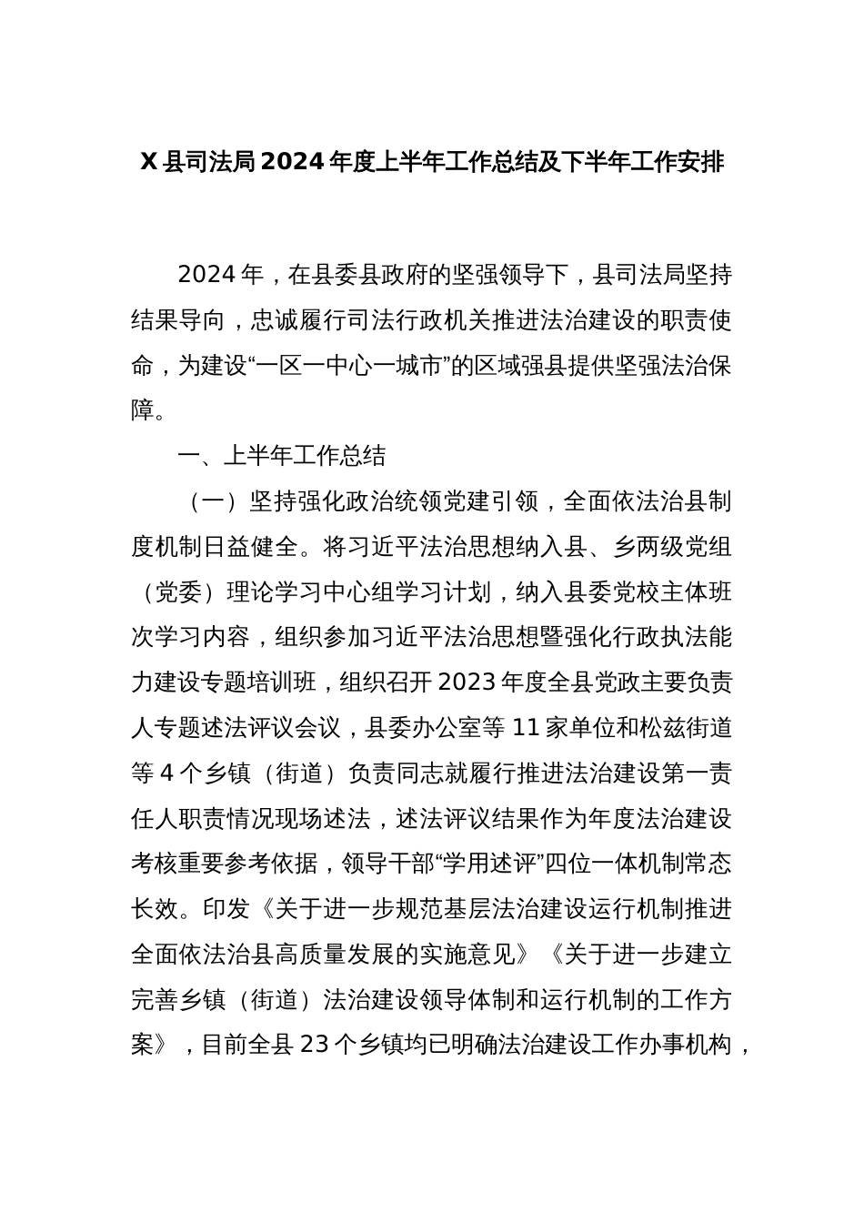 X县司法局2024年度上半年工作总结及下半年工作安排_第1页