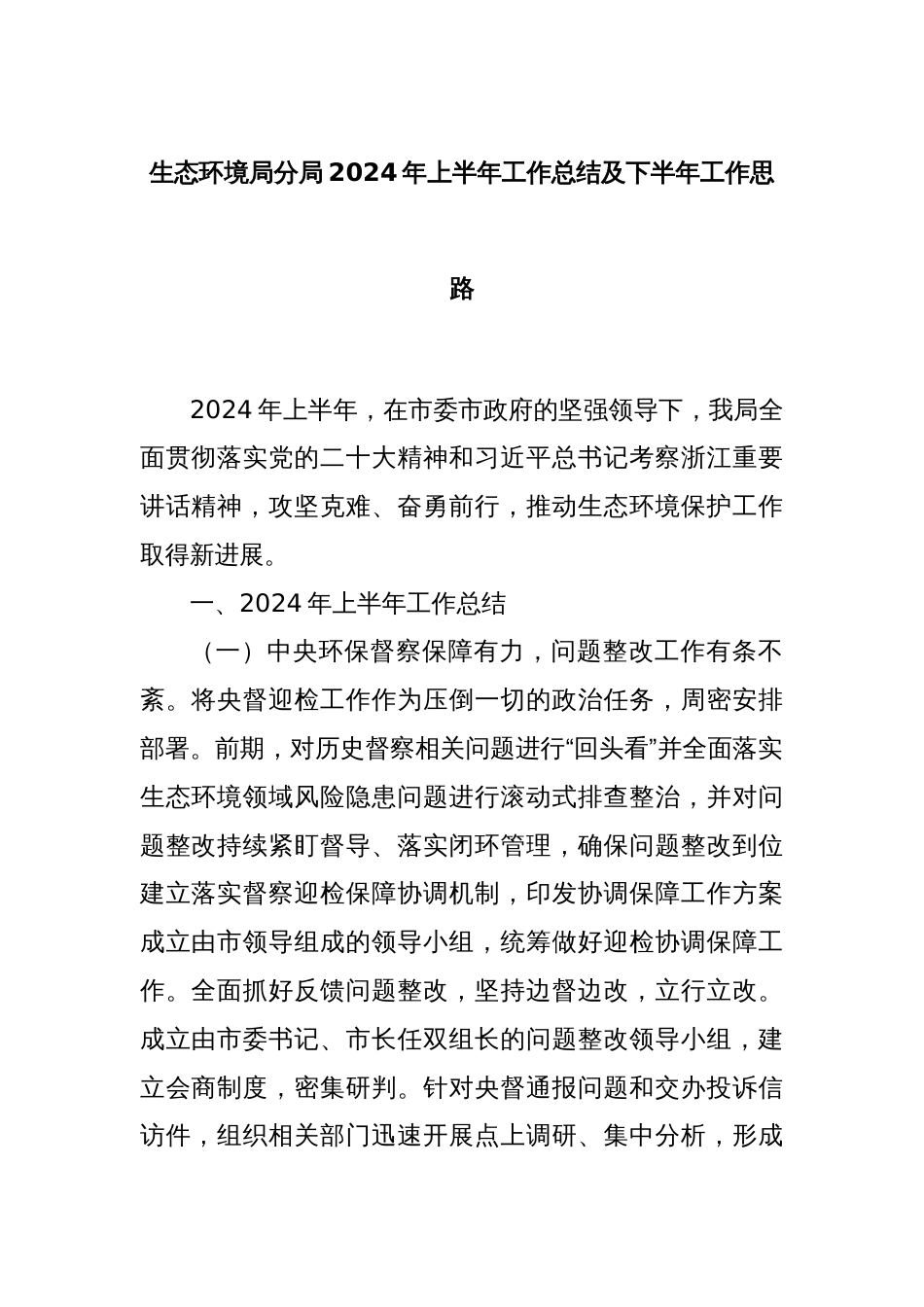 生态环境局分局2024年上半年工作总结及下半年工作思路_第1页