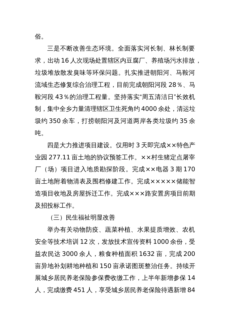 XX乡2024年年中工作总结_第2页
